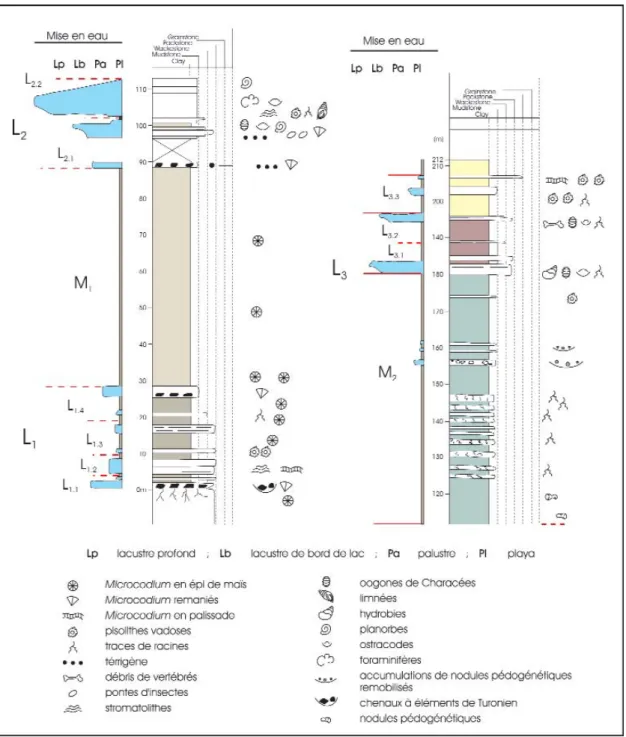 Fig. 8 - Lutetian depositional sequences of the Eygalayes Basin, southern limb, road D170 (L1 to L3; M1 to M3; see Fig