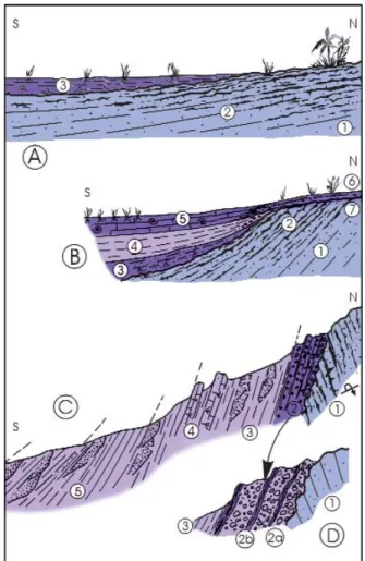 Fig. 10 - Déformation plicative de la bordure nord du bassin d'Eygalayes.