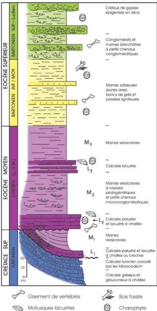 Fig. 4 - Schematic stratigraphic cross section through the Eocene Eygalayes deposits.