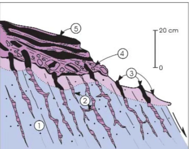 Fig. 6 - Silcrete: Lutetian jaspoid siliceous crust developed on the Turonian substratum