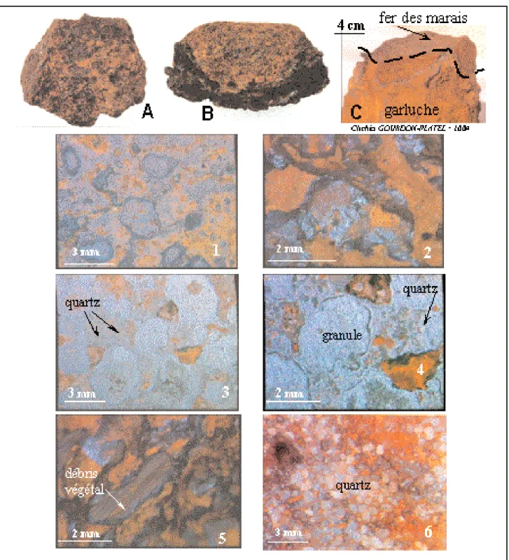 Fig. 2 - Macro et microfaciès du fer des marais granulaires du Lac de Sanguinet.