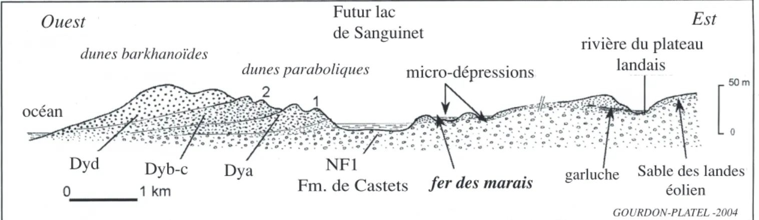 Fig .4 - Hypothetic scheme for the bog-iron ore location within the lansdcape around the old Sanguinet lake.