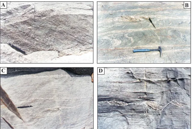 Fig. 3.- Structural features observed in the Jari Belt (A) and along the Ipitinga Lineament (B, C and D)