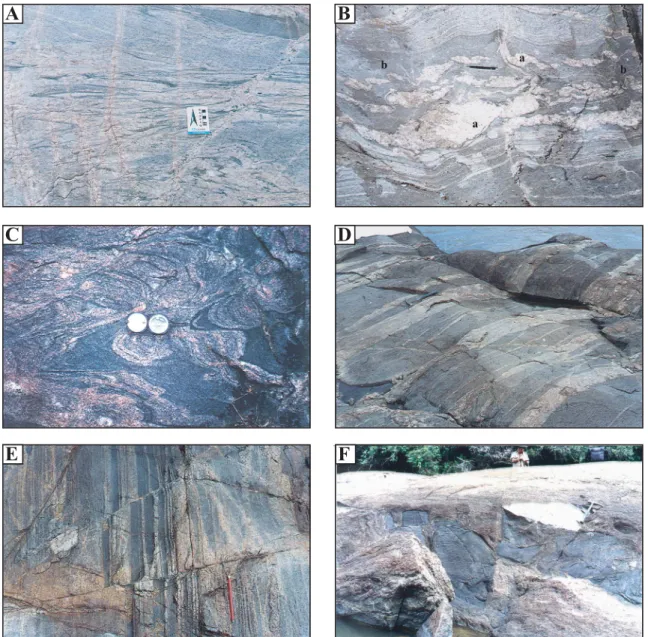 Fig. 4.- Field aspects of the orthogneiss and charnockite. A: Migmatized granulitic gneiss