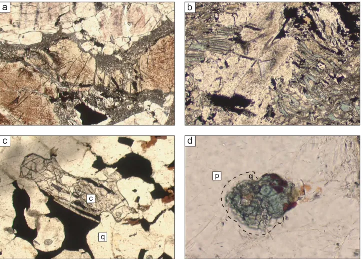 Fig. 4.- Thin-section photographs: a) coarse orthopyroxene and sillimanite (centre/bottom resp