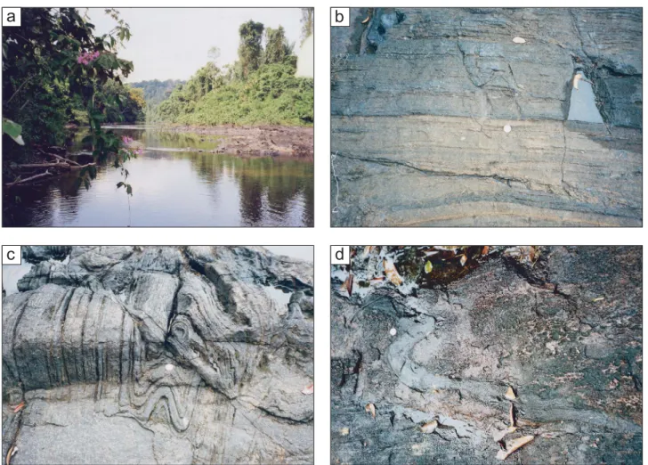 Fig. 3.- Field photographs of the banded rocks of the charnockite suite, showing a) typical outcrop, b) banding, c) folding, d) discordant synkinematic metadolerite dyke
