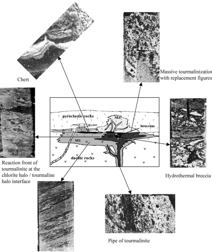 Fig. 3.- Section through the hydrothermal system: M1, chlorite outer halo; M2, tourmaline inner halo; M3, late stockwork (after Lerouge et al., 1999).