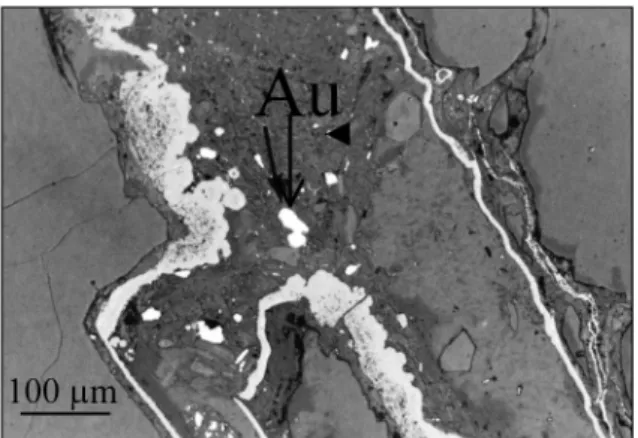 Fig. 5.- Gold-bearing conglomerates of Montagne Tortue: “debris-flow” type facies.