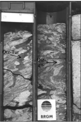 Fig. 7.- Drill-hole samples from Tortue, illustrating the D2-related mesothermal quartz veins developed along the beds of monogenic and polygenic conglomerates.