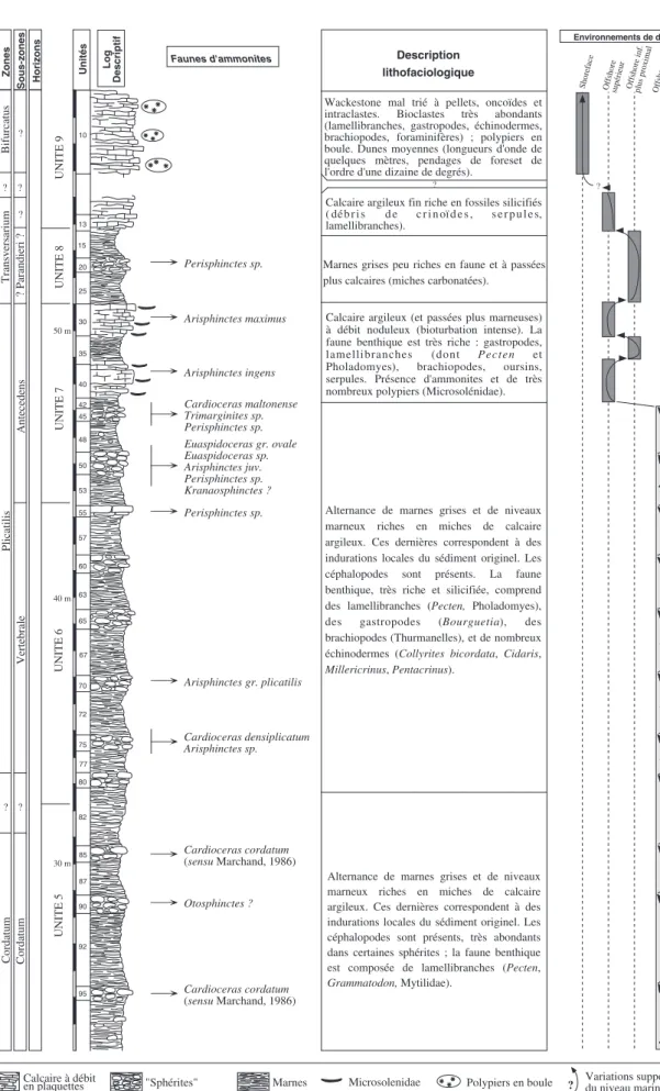 Fig. 3.- Coupe de Saint-Blin-Sémilly. Partie supérieure. Log descriptif, biostratigraphie, description lithofaciologique et évolution des environnements de dépôt.