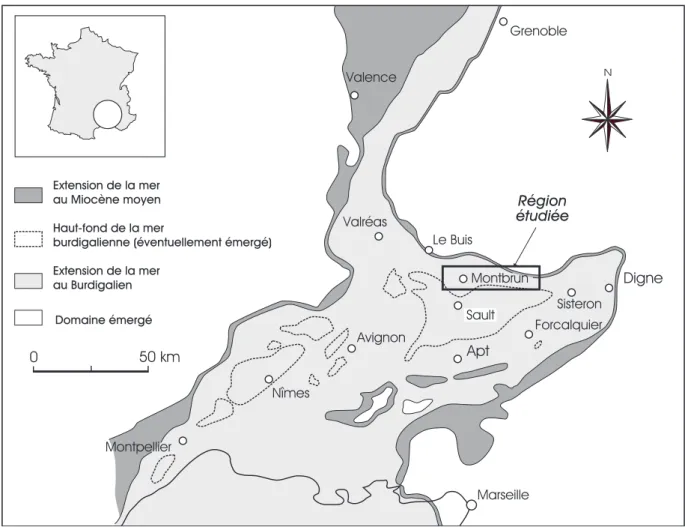 Fig. 1.- Place du secteur étudié dans le contexte paléogéographique du Miocène rhodanien (d’après Demarcq, 1962, modifié).