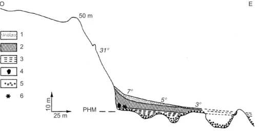 Fig. 2.- Model of the relationship between the Cover sands and the loess in the Bay of Mont Saint-Michel.