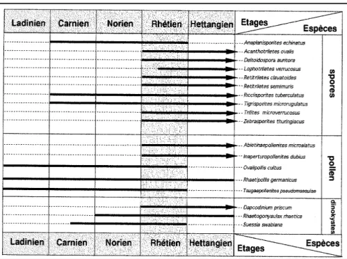 Fig. 2.- Table de répartition européenne d’une sélection de spores, grains de pollen et dinokystes d’intérêt stratigraphique rencontrés en région lyonnaise.