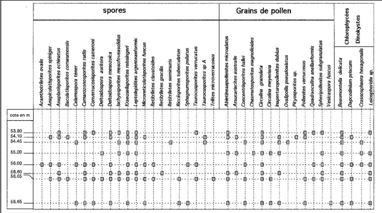 Fig. 3. - Les spores et grains de pollen, dinokystes et acritarches du sondage C1 de Belmont.