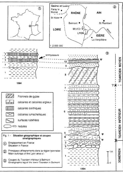Fig.  1 -  Sauation  géographique  et coupes  stratigraphiques 