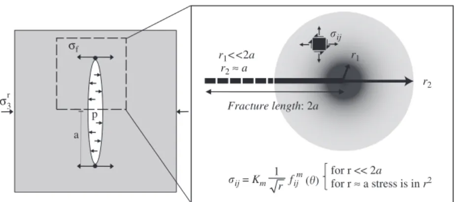 Fig. 1. Simpliﬁed representation of the stress concentration around fracture tips. ðr, y Þ are polar coordinates at the fracture tip, f ð y Þ is a function determined by the strain tensor and is independent of geometric or mechanic parameters