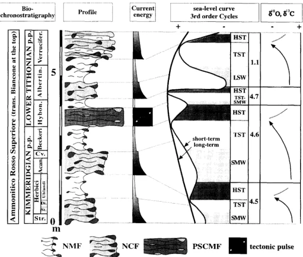 Fig.  5.  Svnthetic  lithostratigraphic  profile  of  the  Kimmeridgian  Lower  Tithonian  studied
