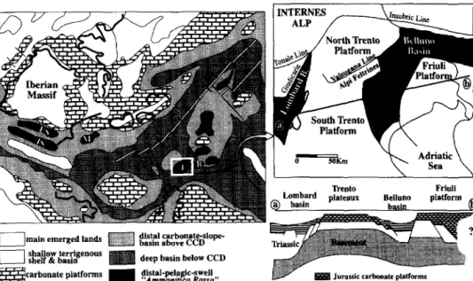 Fig.  2.  L <e/f:  Palaeogeographic  sketch  of  the  Western  Tethys  in  the  Kimmeridgian  (modified  from  Cecca  et  al.,  1992)