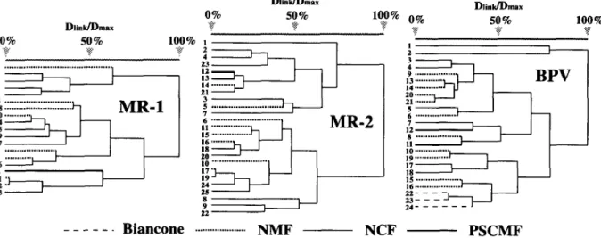 Fig.  4.  Dendrograms  of  cluster  analysis  obtained  from  the  study  of  6  variables  (semiquantitative  estimation  by  microscope  of  percen-  tage  of:  Profoglohigerina,  Globochaete,  pellets,  bioturbation,  orientation  of  bioclasts