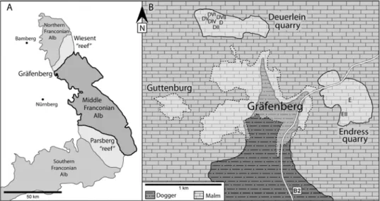 Fig. 1: A) The position of Gräfenberg within the Middle Franconian Alb, based on Zeiss (1968); B)  Geological outline map of the Gräfenberg area based on Biskaborn (2008)