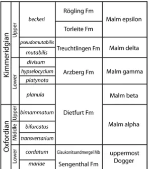 Fig. 2: Stratigraphic range of the Oxfordian and the  Kimmeridgian in the Franconian Alb as an idealized  comparison between biostratigraphy, international  lithostrati-graphical formation names and the traditional subdivision  based on Quenstedt (1858) (d
