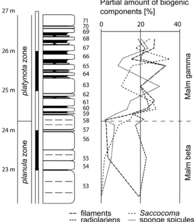 Fig. 3: The percentage amounts of filaments,  radiolarians,  Saccocoma and sponge spicules,  related to the total amount of biogenic  comp-onents, increase at the onset of the platynota zone  indicating a high sea-level