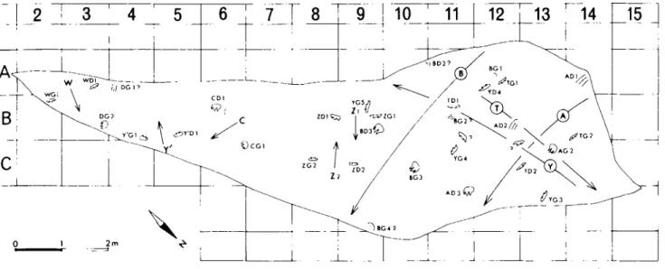 Fig.  4  - -   R~partition  de  Saltosauropus  latus  sur  la  surface  sup~rieure  du  b a n c   295  A 