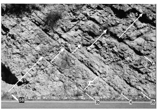 Fig. 5. Field view of bundles 1 – 5. The different types of bedding planes (boundaries of bundles) are indicated.