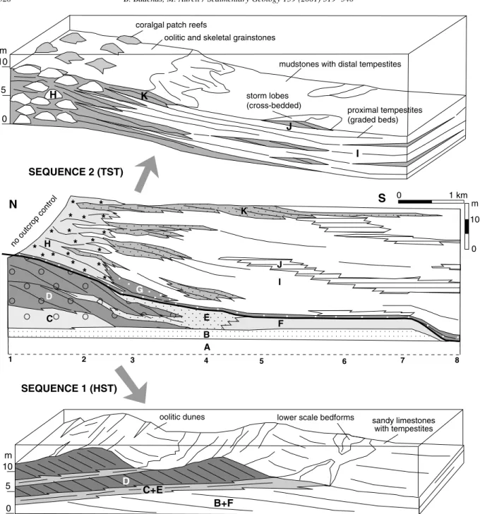 Fig. 4. The central part of the ®gure shows the facies distribution on the two studied systems tracts along the Ricla outcrops (numbers 1±8 correspond to the measured logs; only the upper part of facies A has been represented)