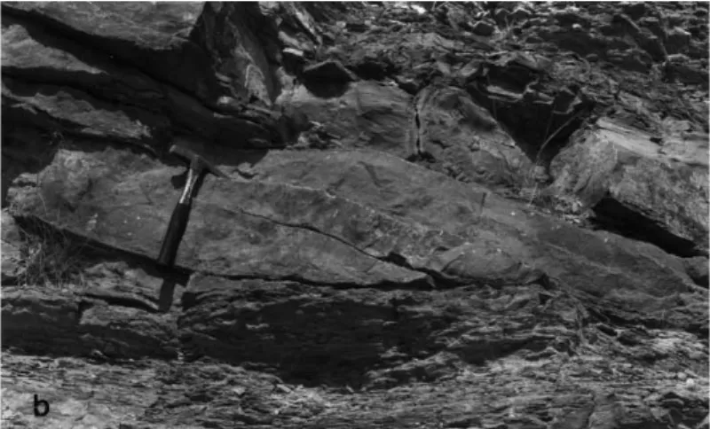 Fig. 9. Oscillatory ripples and planar-cross bedding present in facies J. The lower outcrop sketch shows the lateral transition between these two kinds of deposits