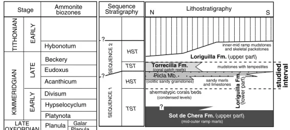 Fig. 2. Stratigraphic position of formations, systems tracts, Sequence 1 and 2, and their correlation to ammonite biozones in the Ricla outcrops.