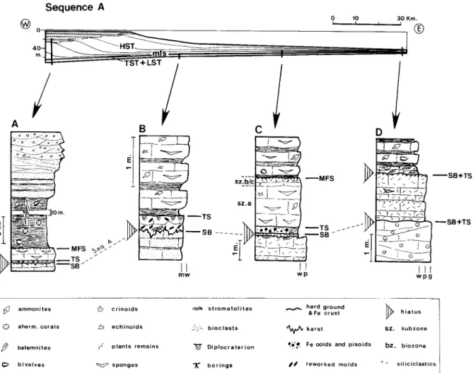 Fig. 3. Section showing the interpreted  systems tract distribution  in the Oxfordian  Sequence