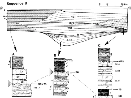 Fig.  4.  Section showing the interpreted  systems  tract  distribution  in the  Kimmeridgian Sequence