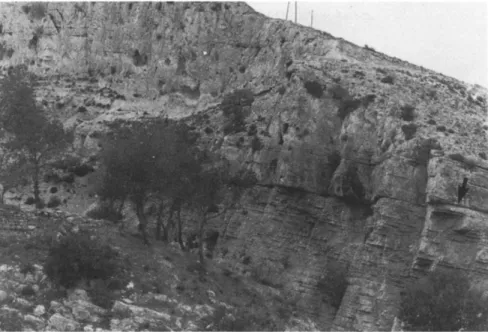 Fig. 6.  The upper Sequence B boundary in the  Mezalocha section (i.e., section 3 in  Fig