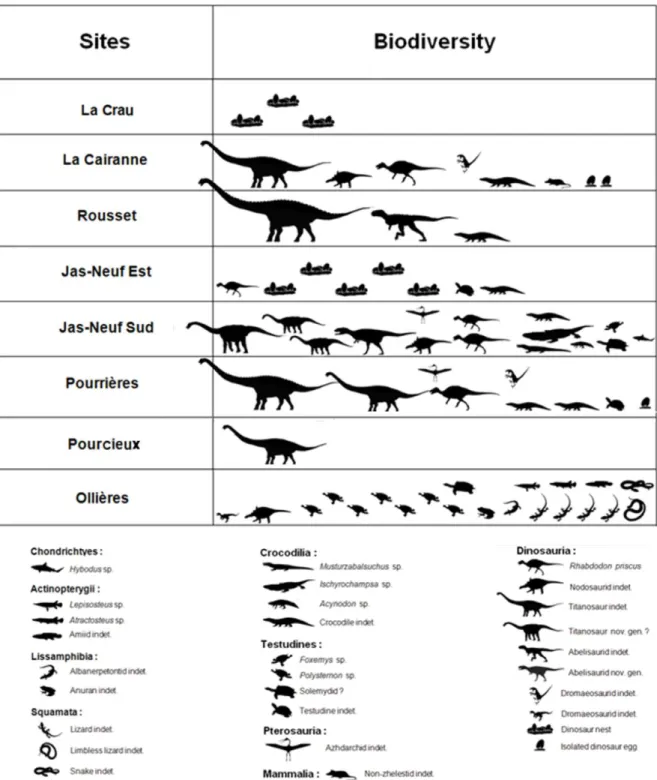Figure  3  :  Biodiversity  found  in  each  site  located  along  the  A8  highway  (from  West  to  East)  during  excavation conducted by the Museum of Natural History of Aix-en-Provence and funded by ESCOTA  Company