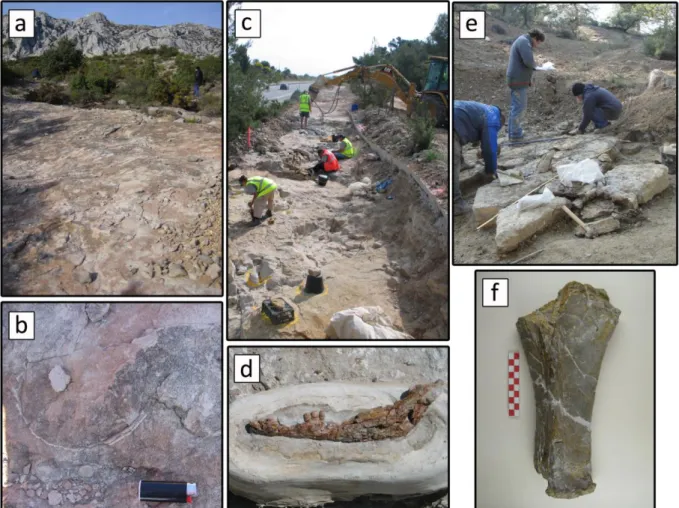 Figure  4:  Pictures  of  visited  site  during  the  fieldtrip,  with  examples  of  discoveries