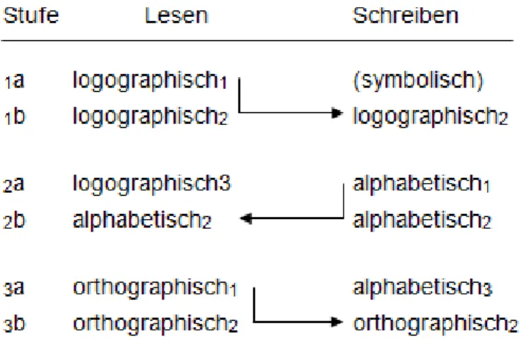 Abbildung 2: Sechs-Stufen-Modell des Erwerbs von Lese- und Schreibfertigkeiten (Frith 1985)  (Quelle: Marx, 2007, S
