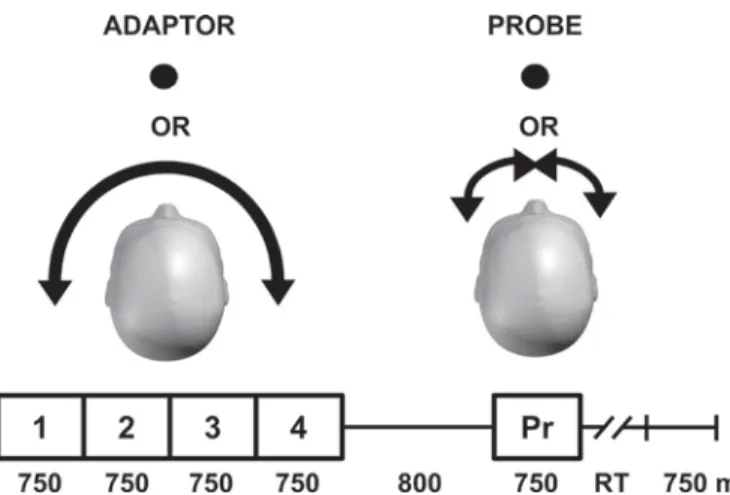 Table 2. Adaptor sounds: trajectory of motion during each section (see Fig. 2), and number of trials presented