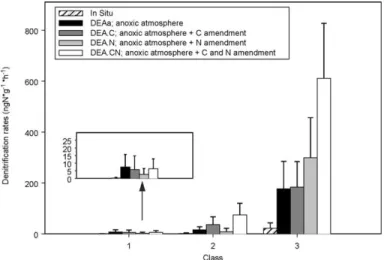 Fig. 5. Mean and standard deviation of the in situ denitrification rate and the four types of DEA according to denitrifying capacities classes (class 1: DEA.CN < 25 ng N g 1 h 1 , class 2: 25 – 200 ng N g 1 h 1 , class 3: