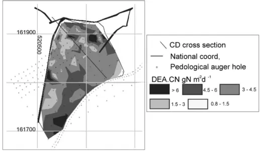 Fig. 8. Estimated spatial variability of the potential nitrogen emission (DEA.CN) within the studied site considering classes 3 and 2 denitrifying functional horizons.