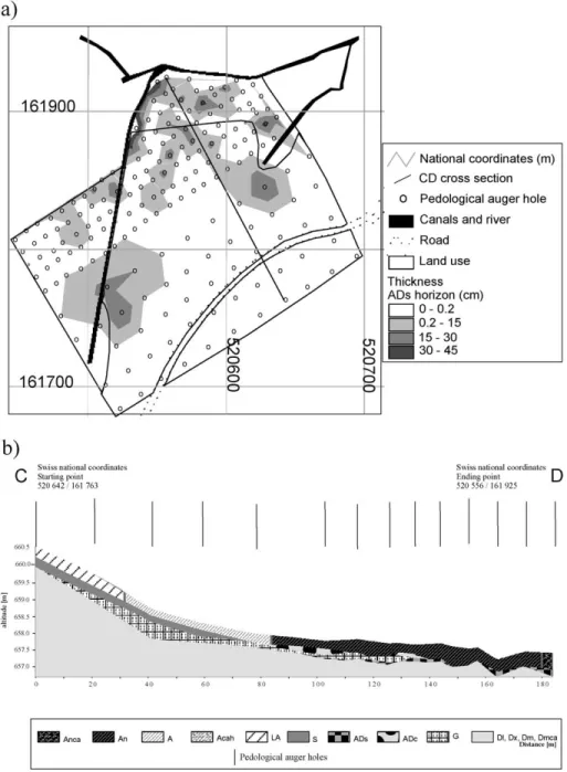 Fig. 3. (a) Thickness map of the ADs horizon, location of the CD cross-section. (b) CD cross-section of soil horizons (since spatial variability of the mineral horizons was not delimited they are presented as a single unit in this cross-section), vertical 