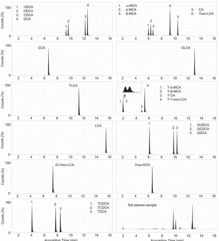 Fig. 2 Representative chromatogram of bile acids extracted from a plasma sample and charcoal-treated rat serum spiked with 24 bile acids standard.