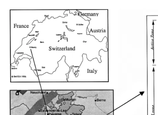 Fig. 1. Location of the study site.