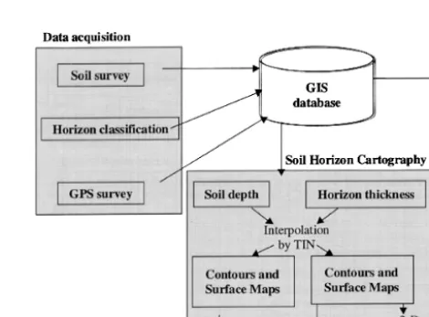 Fig. 2. Diagrammatic representation of the methodology.