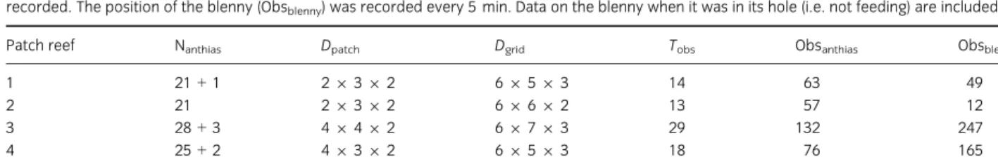 Table 1: Number of identified fishes (N anthias : marked fishes + individuals recognisable with natural marks), dimensions of the patch reefs ( D patch , in metres) and the grids (D grid , number of cubes of 1 m 3 ), total observation time (T obs , in hour