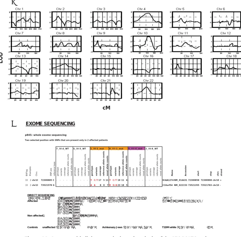 Figure S2. Genome-wide linkage analysis and analysis of the KIAA1274 variant. 