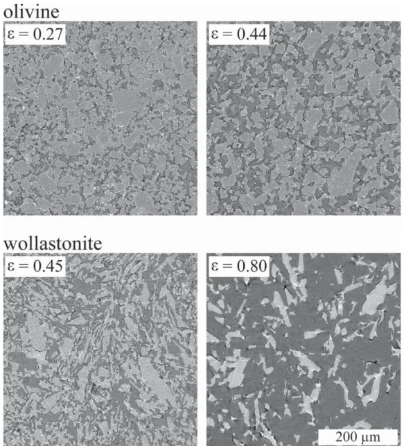Figure 2. Reconstructed 2-D cross sections from x-ray absorption tomography of investigated mineral diaphragms (end mem- mem-bers ol 1, ol 4, wo 1, and wo 4).