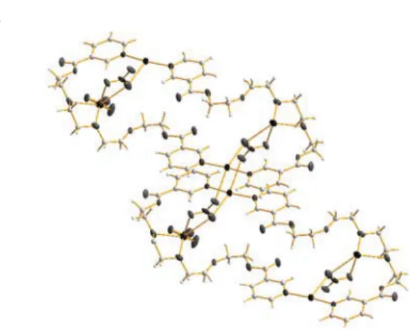 Fig S4: Image of the ʌ-ʌ interactions of two metallacylce of  compound 9, [Ag 2 (L4n)(NO 3 ) 2 ] 2  and their inorganic ring  