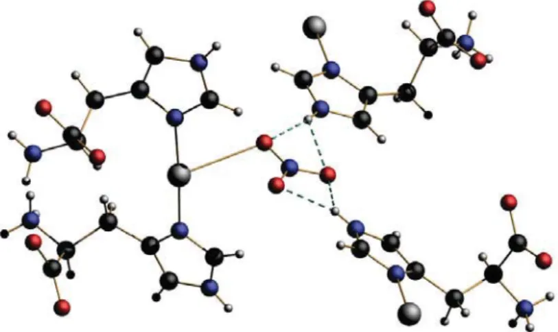 Figure S1. View of the intermolecular hydrogen bonding network in 1 indicated by the dashed blue lines