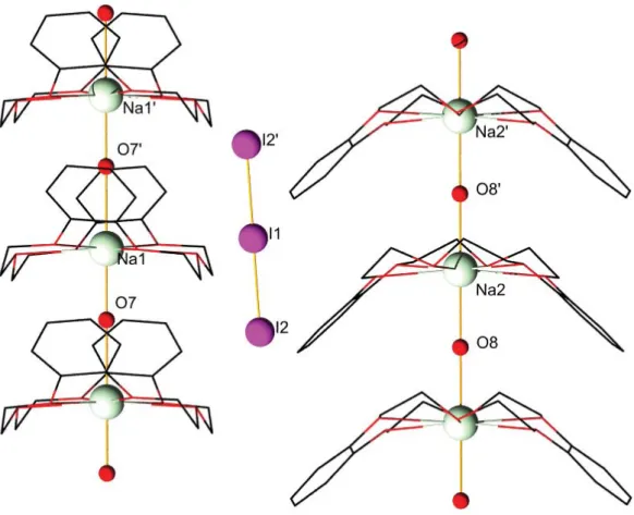 Figure 15: Wire representation of the two channels of compound D          